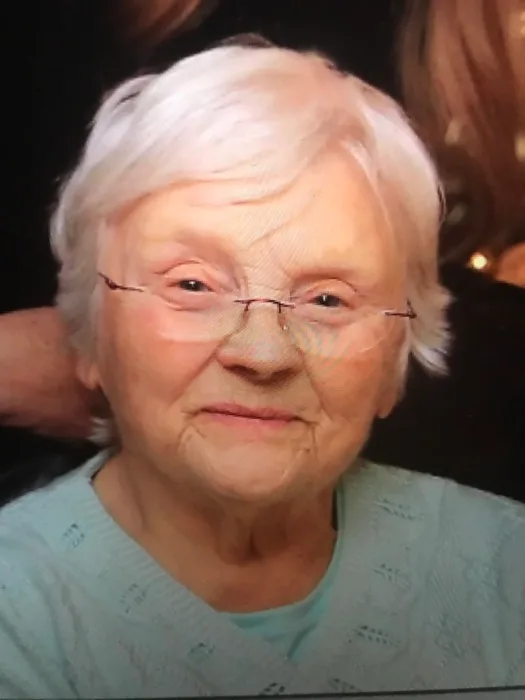 Suzanna Theresia (van Vijfijken) van Hout
